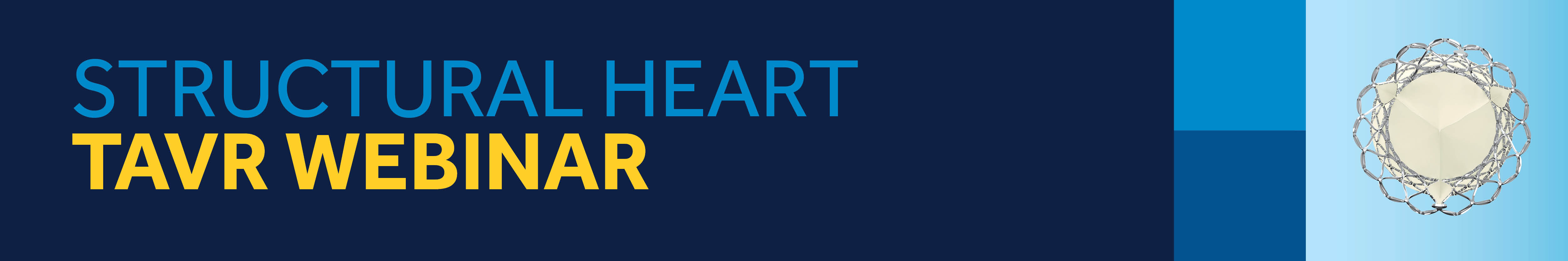 Structural Heart Banner