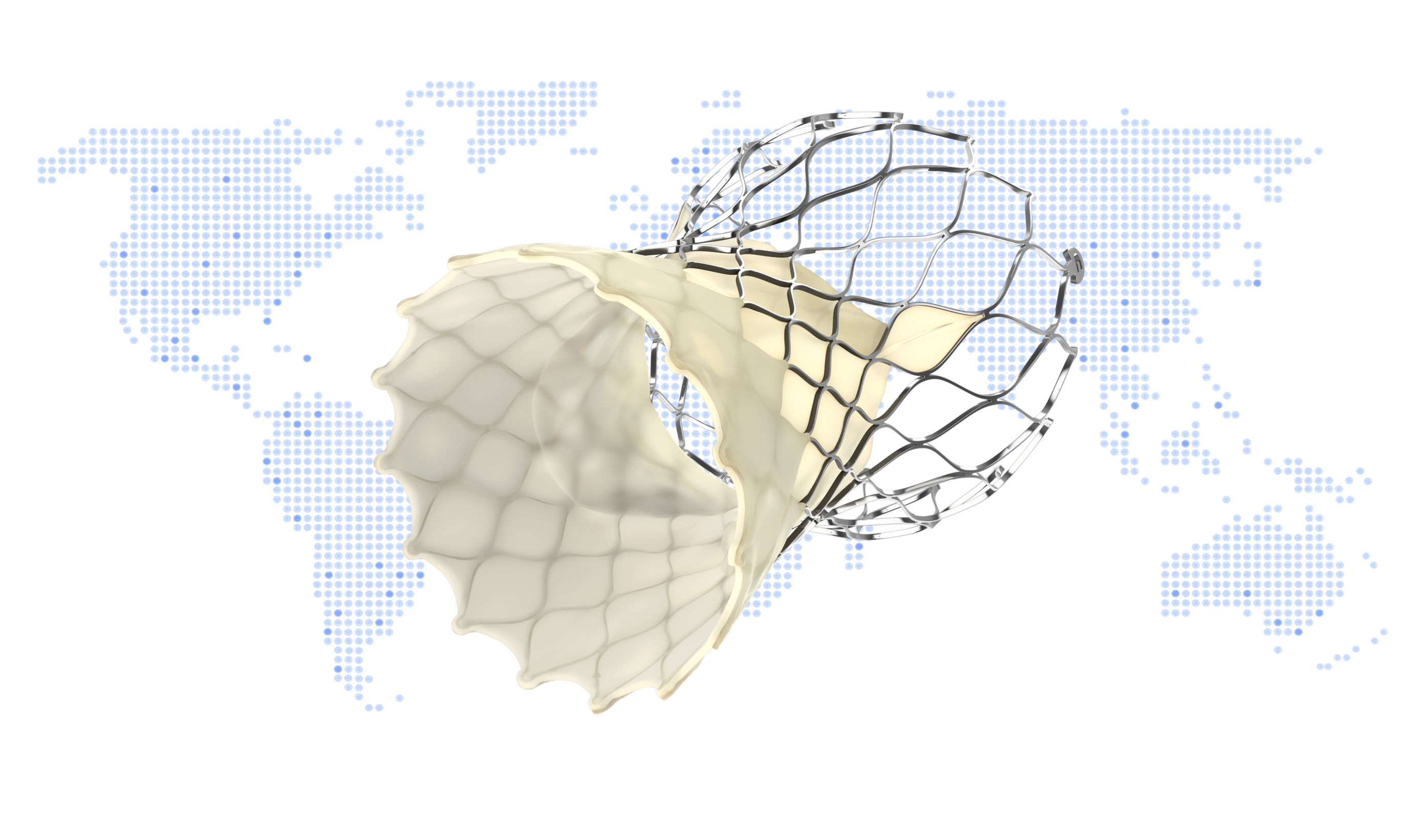 Img - globe with Evolut valve